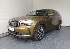 Skoda Kodiaq Selection 2.0TDI 193CP DSG 4×4